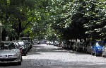 Tree-lined streets